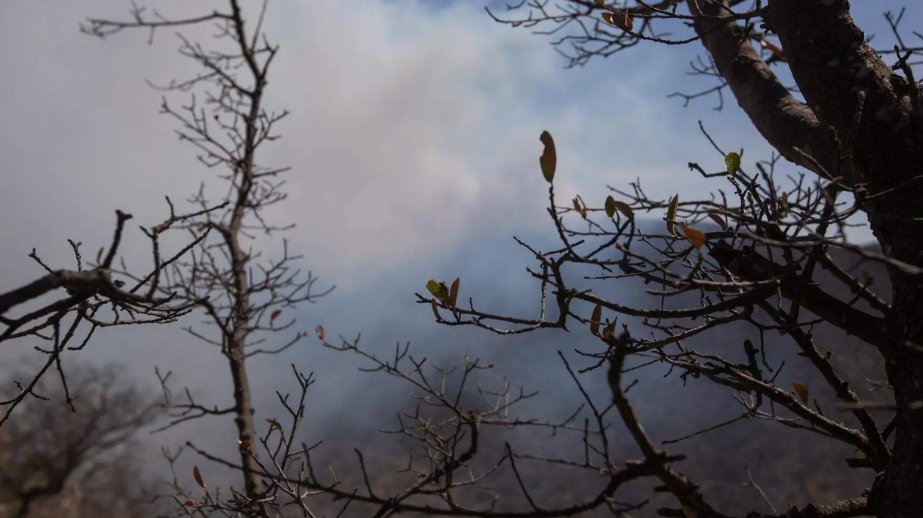 Incendios forestales (2)